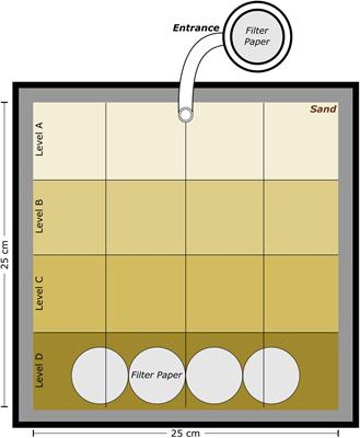 Rescue Strategy in a Termite: Workers Exposed to a Fungal Pathogen Are Reintegrated Into the Colony